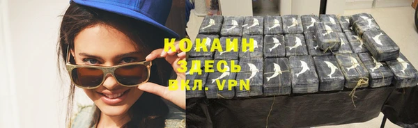 мдпв Вяземский