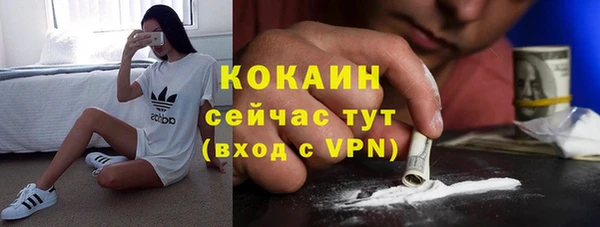 мдпв Вяземский