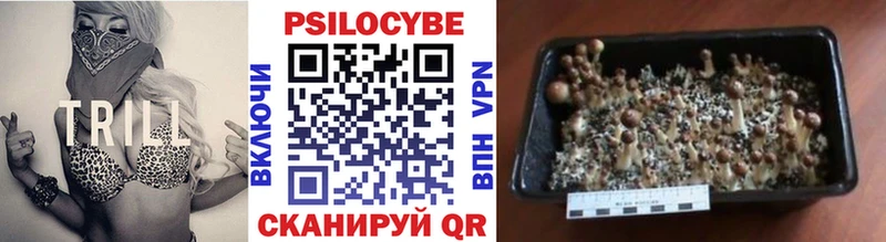 Псилоцибиновые грибы Magic Shrooms  купить   Жигулёвск 